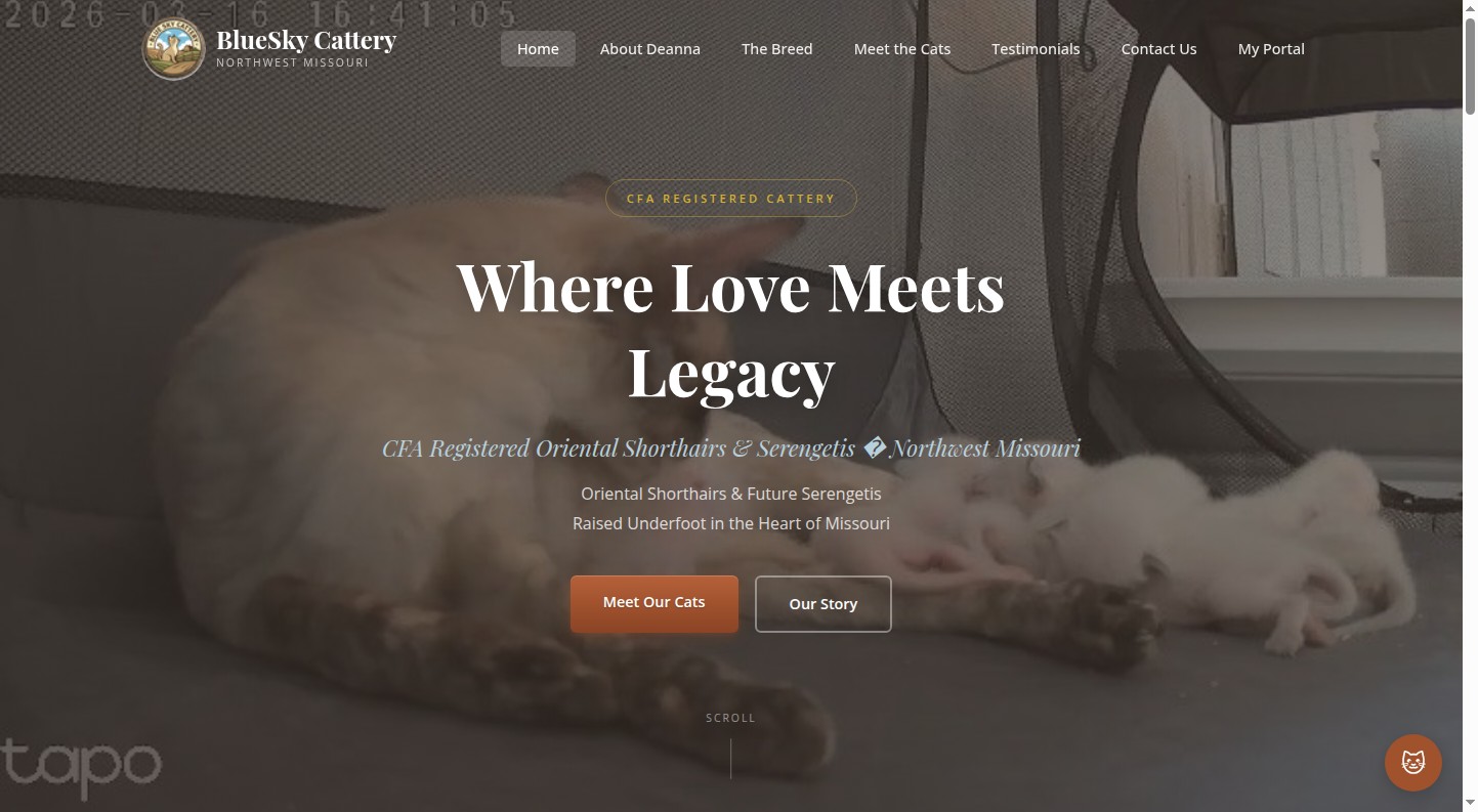 BlueSky Cattery homepage screenshot